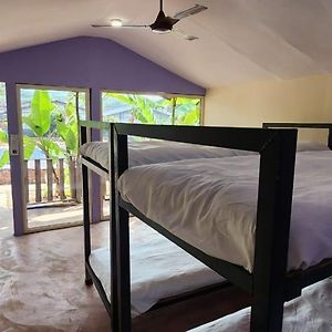 Bunk Bed Mixed Dormitory Room